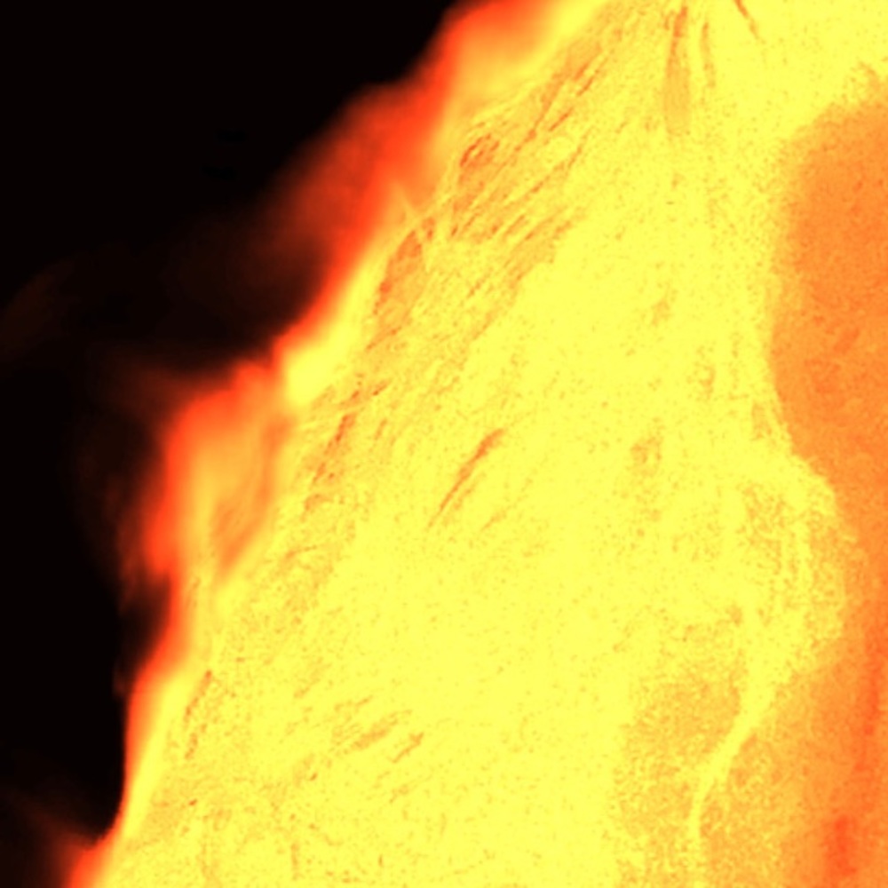 Meet your Posher, Tamar